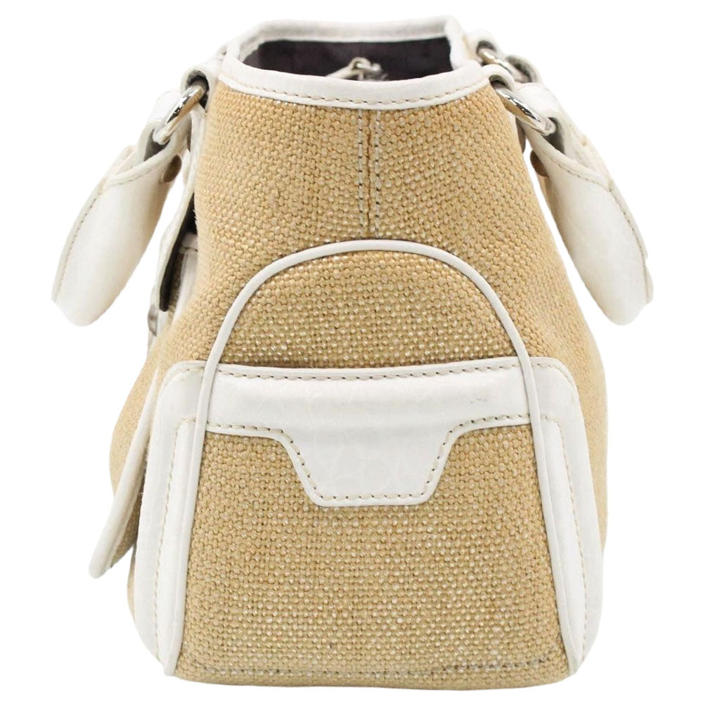 CELINE Raffia Boogie Handbag LHQ2383