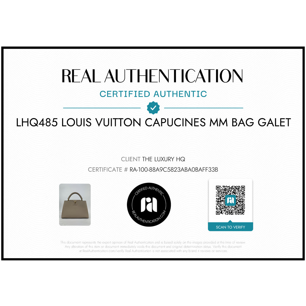 LOUIS VUITTON Capucines MM Galet Leather Handbag Shoulder Bag LHQ485