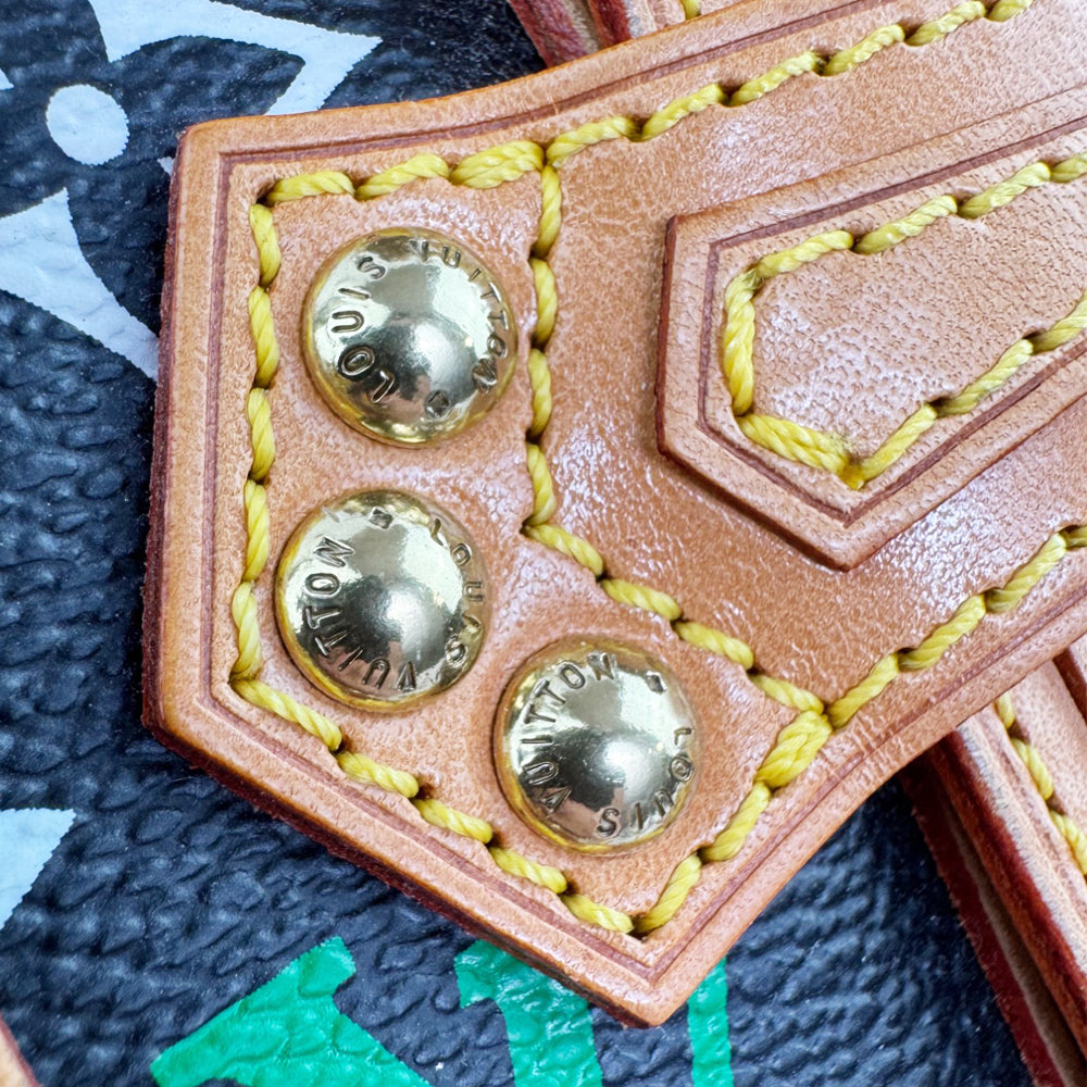 LOUIS VUITTON Theda GM Takashi Murakami Handbag LHQ570