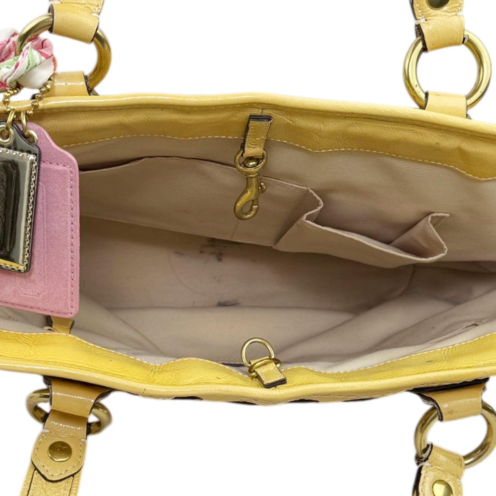 COACH Poppy Straw Applique Tote Shoulder Bag LHQ1909